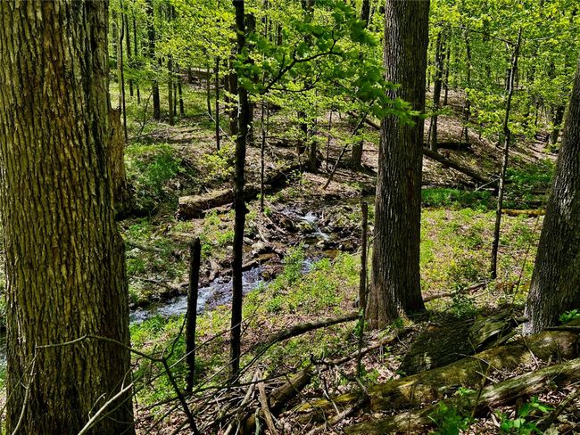 Stream | Image 14
