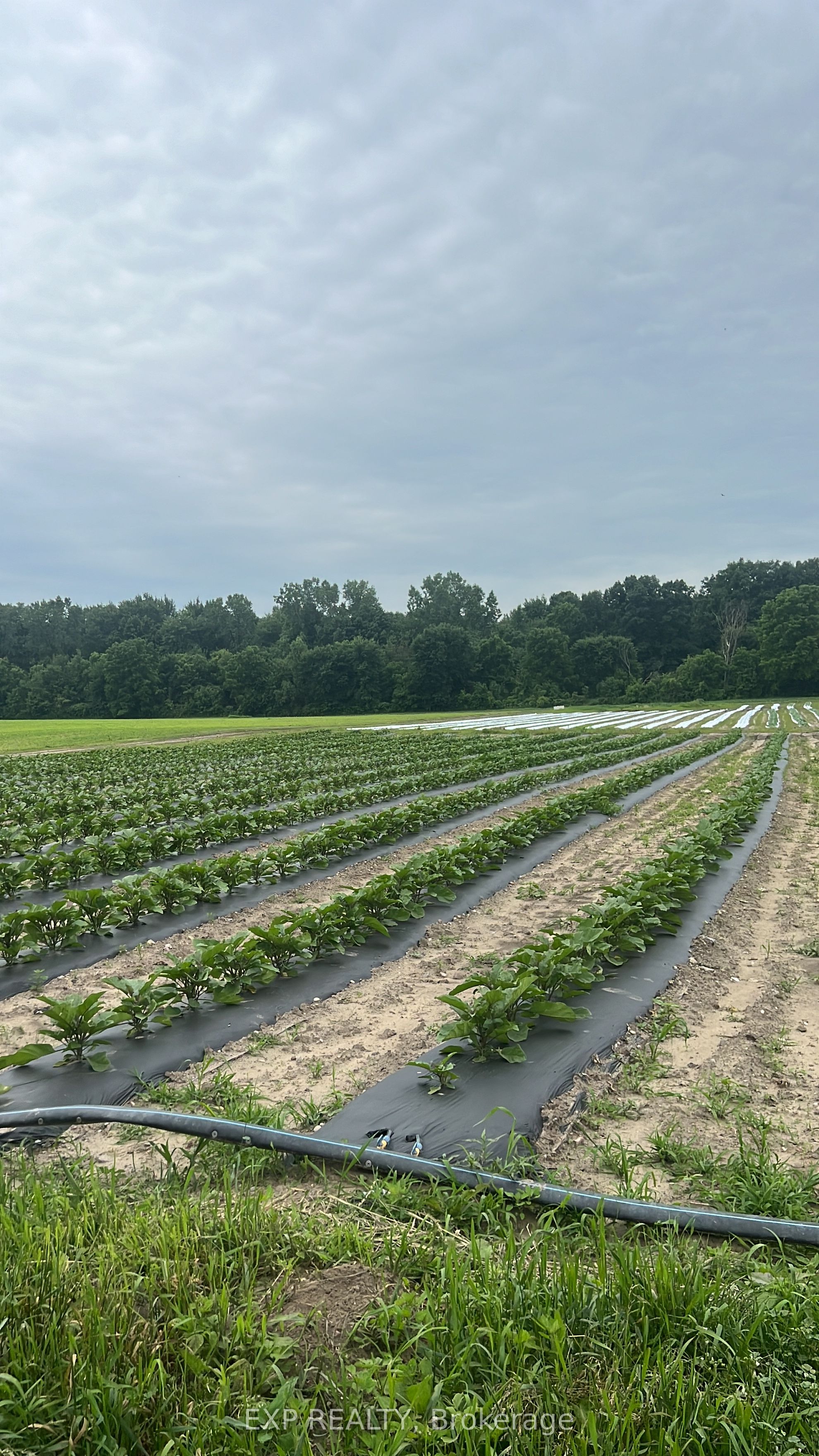 Commercial Sale in Southwest Middlesex 3