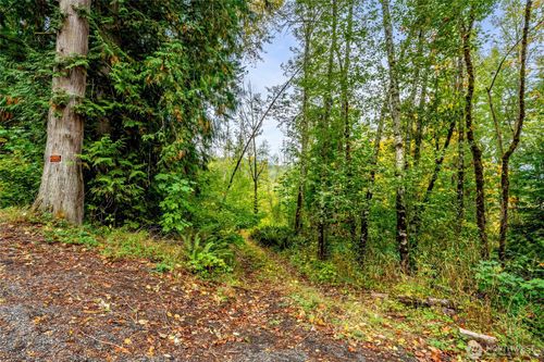 0 Mineral Hill Road, Mineral, WA, 98356 | Card Image