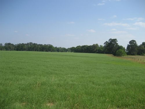 00 County Road 1890, Grapeland, TX, 75844 | Card Image