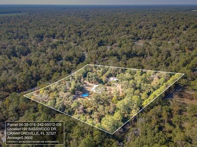 199 Basswood Drive, House other with 4 bedrooms, 2 bathrooms and null parking in Crawfordville FL | Image 2