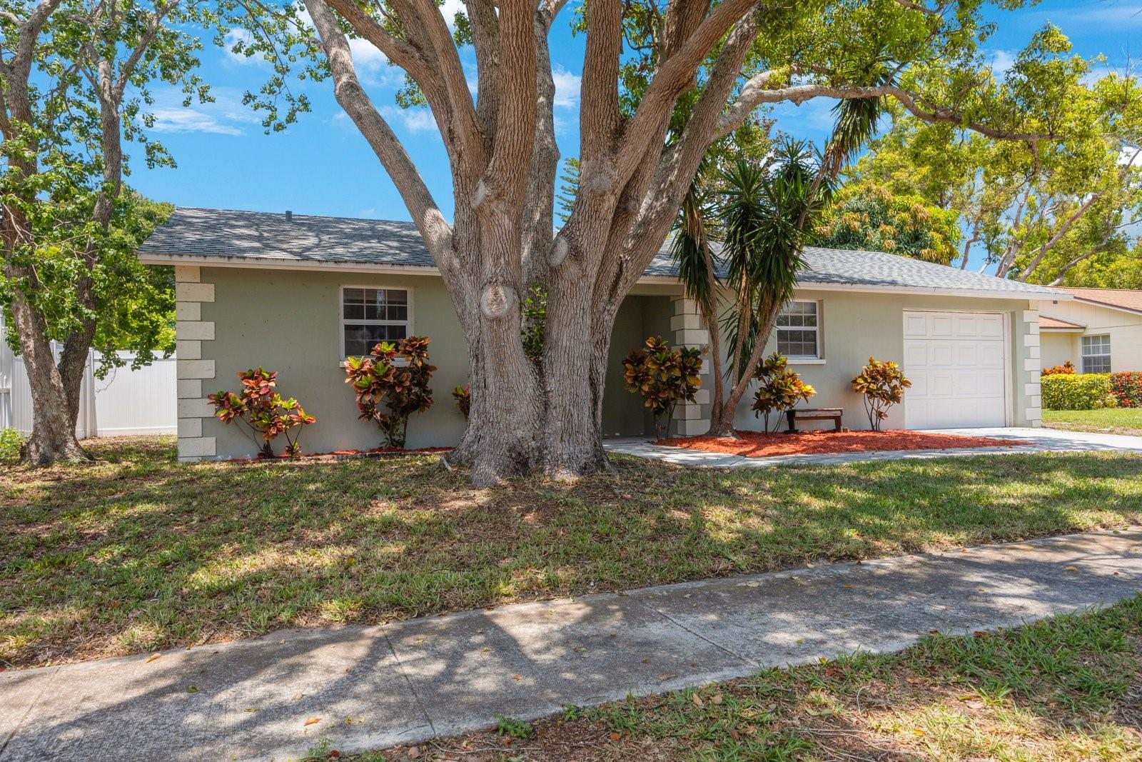 11th St, Largo, FL 33778