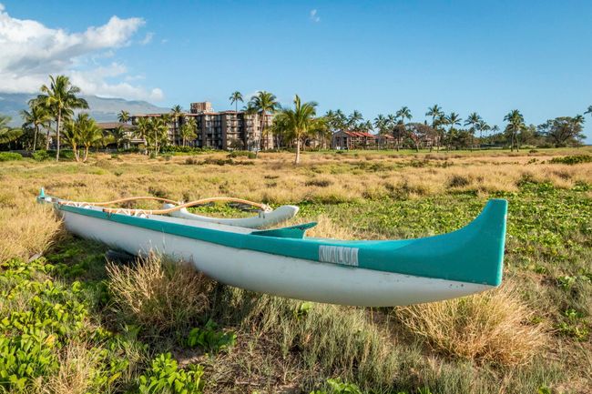 APT-301 - 938 S Kihei Rd, Condo with 1 bedrooms, 1 bathrooms and null parking in Kihei HI | Image 34