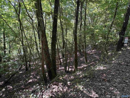 lot-81-1500 County Road 103, Mentone, AL, 35984 | Card Image