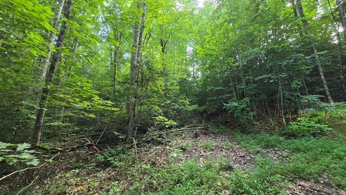 Lot 14 Kilpatrick Point Ter, Hayesville, NC, 28904-7254 | Card Image