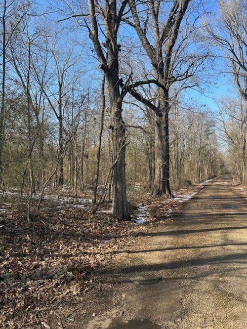 414 E Main St, Omaha, TX, 75571-5583 | Card Image