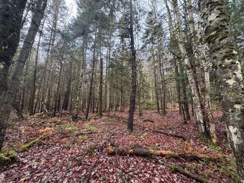 10 Hampshire Hill Rd, Worcester, VT, 05682-9754 | Card Image