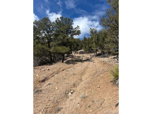 143 Ive Pl, Cotopaxi, CO, 81223 | Card Image