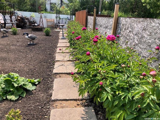 View of yard | Image 14