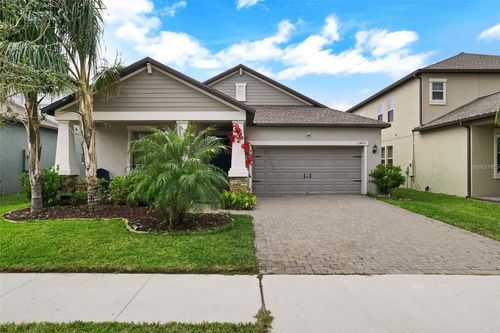 11420 Freshwater Ridge Dr, RIVERVIEW, FL, 33569-2060 | Card Image