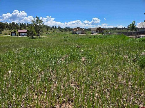 20 Lancer Ct, Pagosa Springs, CO, 81147-8474 | Card Image
