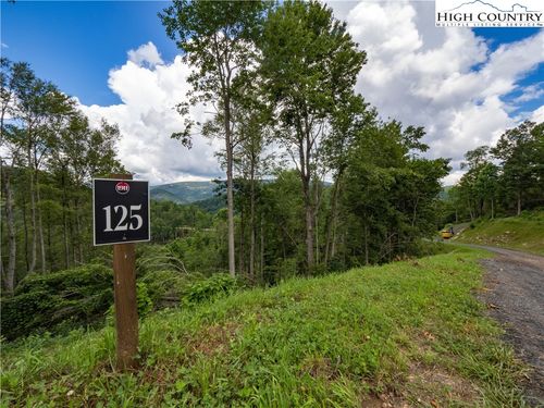 125 Tower Oaks Trail, Elk Park, NC, 28622 | Card Image