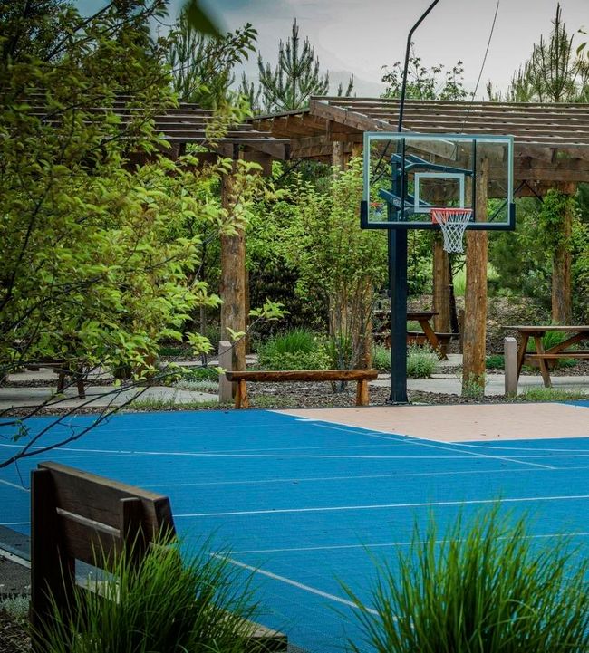 Sports Park | Image 45
