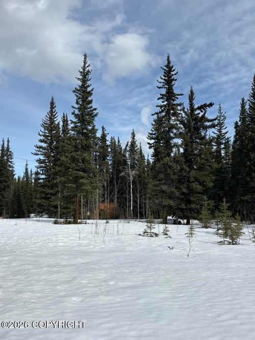 1318.5 N Alaska Hwy, Tok, AK, 99780 | Card Image