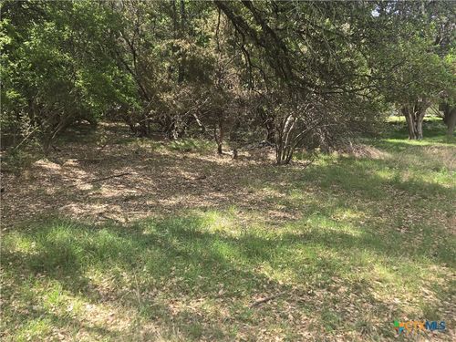 6 Hackberry Ct, Belton, TX, 76513-9259 | Card Image