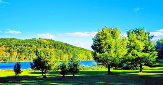 2937 Old Barrys Bay Rd, House other with 0 bedrooms, 0 bathrooms and 22 parking in Madawaska Valley ON | Image 33
