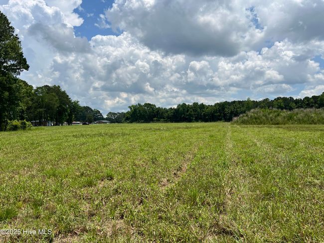3330 Mccaskey Rd, Home with 0 bedrooms, 0 bathrooms and null parking in Williamston NC | Image 16