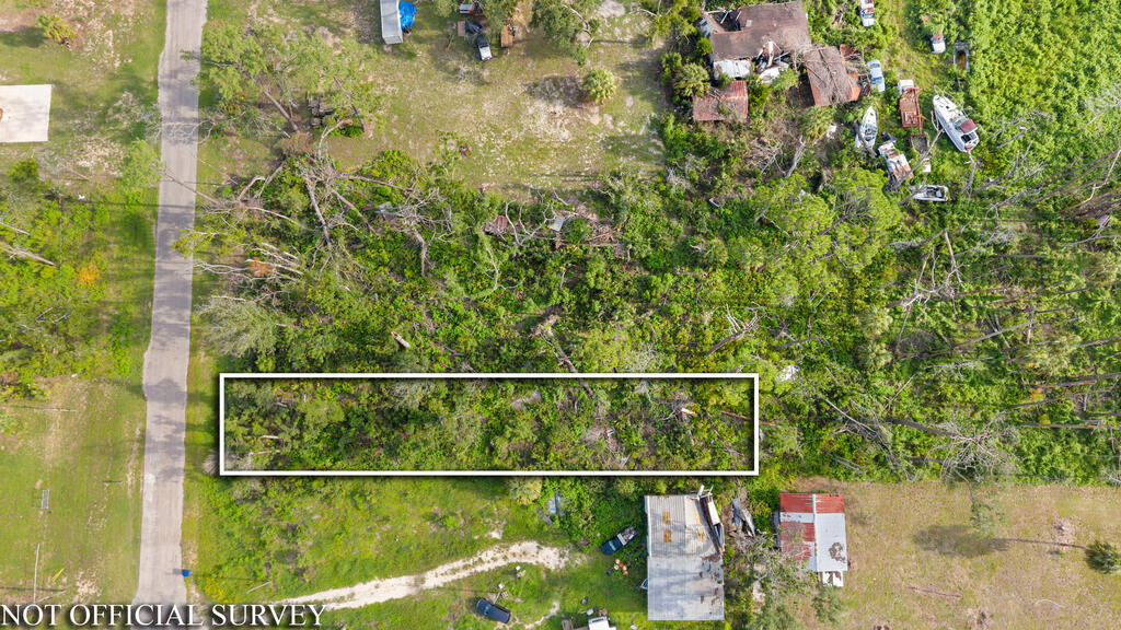 Land in Steinhatchee