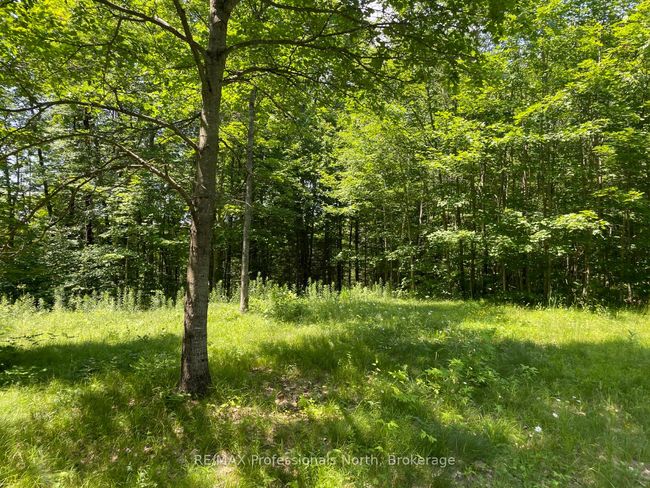 0 Glamor Lake Rd, Home with 0 bedrooms, 0 bathrooms and null parking in Gooderham ON | Image 4