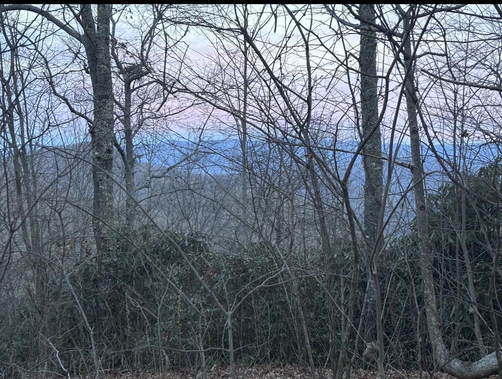 Land in Bryson City 2