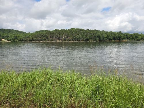 823 River Front Dr, Clifton, TN, 38425-2507 | Card Image