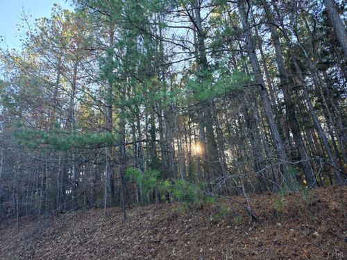 0 Mountain Creek Rd, Meherrin, VA, 23954 | Card Image