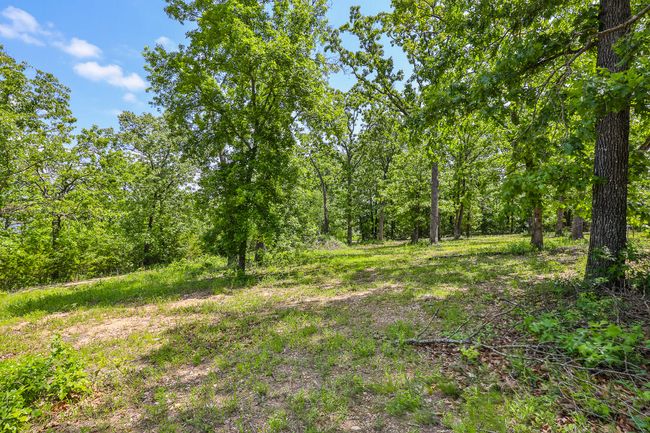 Yard | Image 33