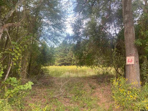 Lot 4 Cr 3502, Cuney, TX, 75759 | Card Image