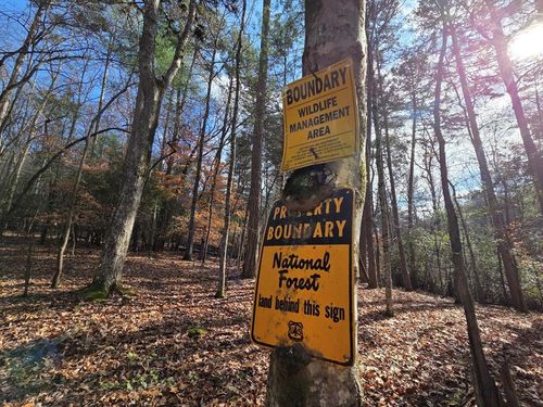 Lot 10 Wildcat Ln, Suches, GA, 30572-1155 | Card Image