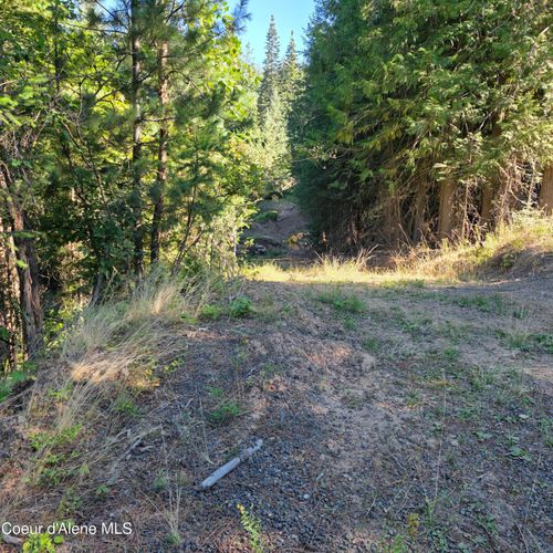 NKA Hells Gulch Rd, Saint Maries, ID, 83861 | Card Image