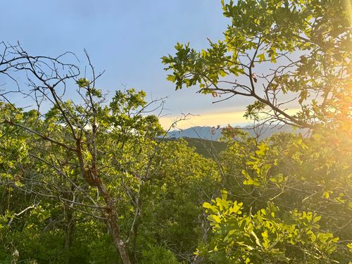 353-1556 S Tree Top Ln, Heber City, UT, 84032-4382 | Card Image