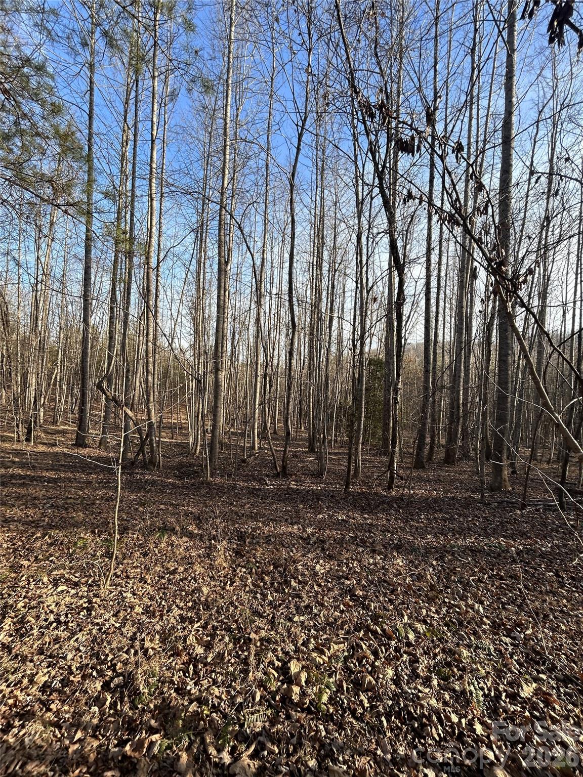 Land in Nebo 5