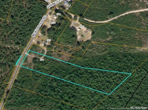 0 Mckoy Loop Rd, Ivanhoe, NC, 28447 | Card Image