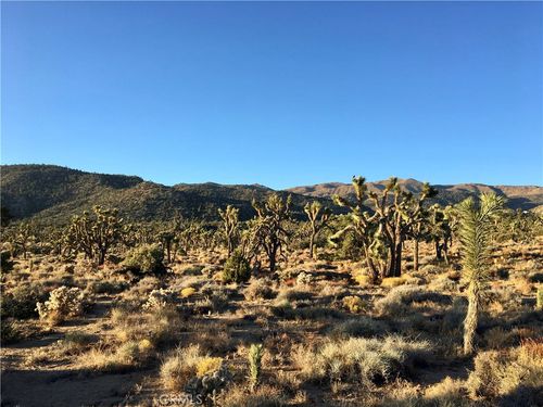 26 Vista Road, Pioneertown, CA, 92356 | Card Image