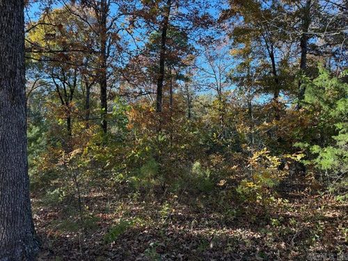 3980 Blackland Rd, Pleasant Plains, AR, 72568-9801 | Card Image