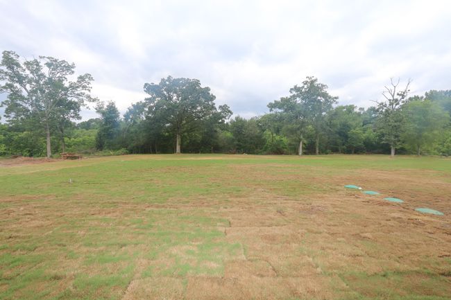 16511 Cooper Way, House other with 4 bedrooms, 3 bathrooms and null parking in Tyler TX | Image 30