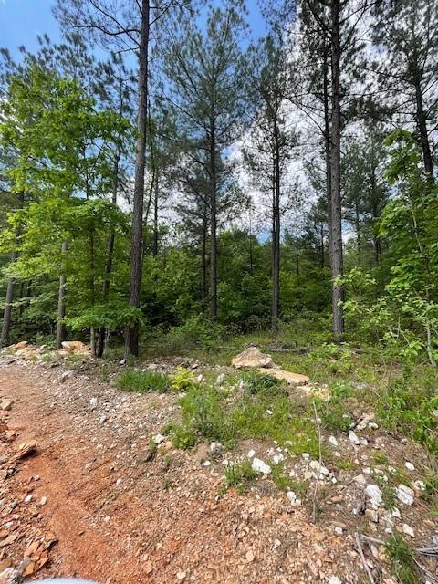Land in Broken Bow