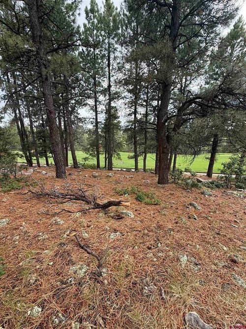 94 W Golf Pl, Pagosa Springs, CO, 81147-9314 | Card Image