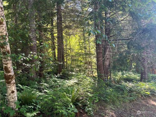 103 Ridge Ln, Packwood, WA, 98361 | Card Image