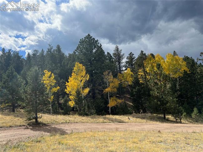 752 County Road 16, Home with 0 bedrooms, 0 bathrooms and null parking in Cotopaxi CO | Image 8
