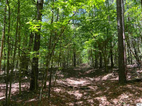 00 Jinks Rd, Bernice, LA, 71222 | Card Image