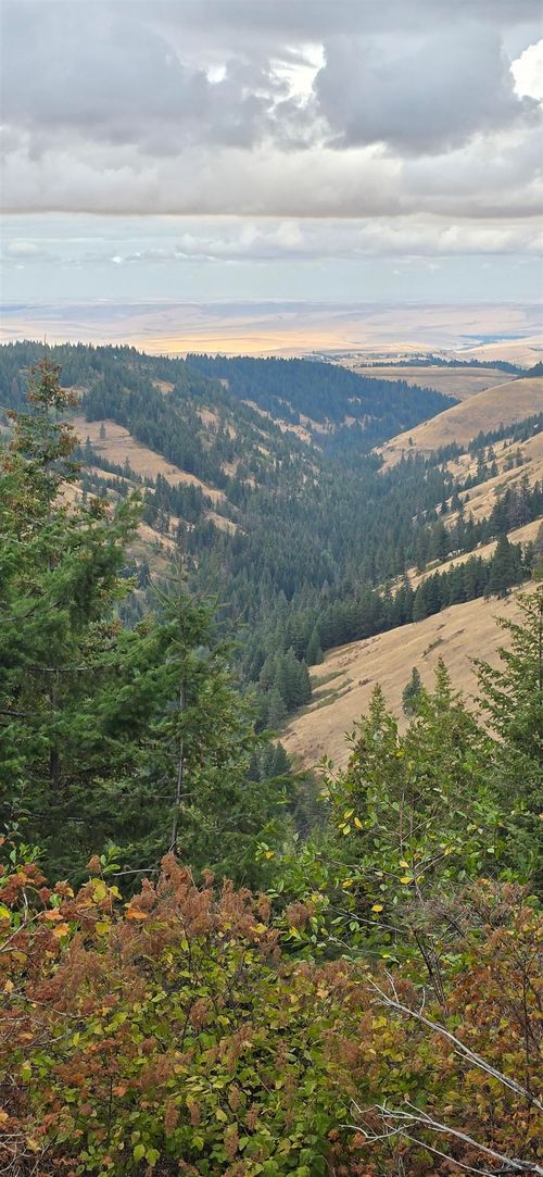 30 Acres On Biscuit Ridge Rdg, Other, WA, 99361 | Card Image
