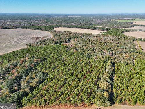 0 Ga Highway 311, Camilla, GA, 31730 | Card Image