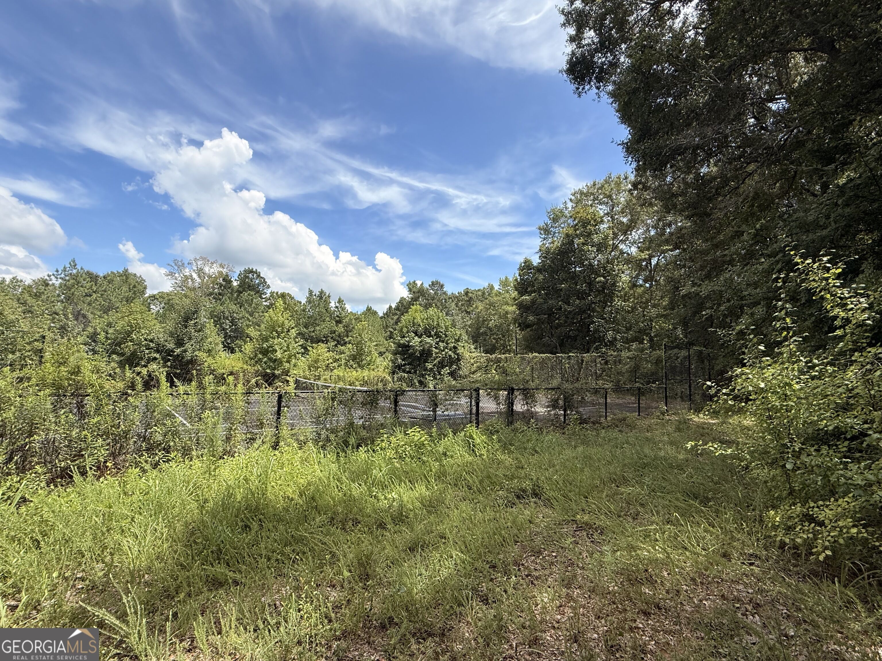 Land in Macon 4