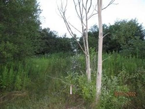 0 Daniels Rd, South Plymouth, NY, 13844 | Card Image