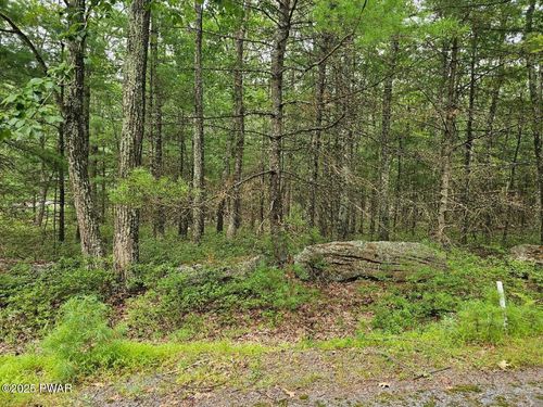 Lot 42 Ripplewood Dr, Tafton, PA, 18464 | Card Image