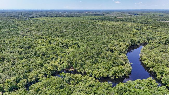 Aerial view of property and surrounding area with a forest and a large body of water | Image 35