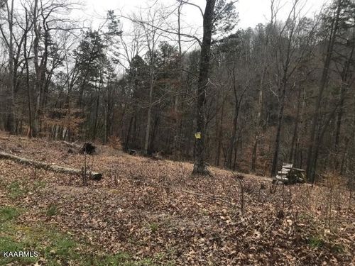 0 Sawmill Cv, Rockwood, TN, 37854 | Card Image