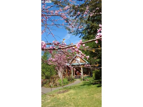 43911 Ne Columbia Tie Rd, AMBOY, WA, 98601-4409 | Card Image