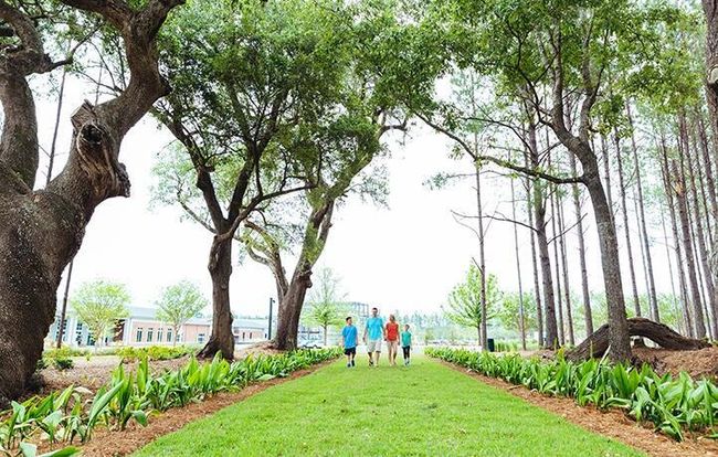 SC PARK | Image 36